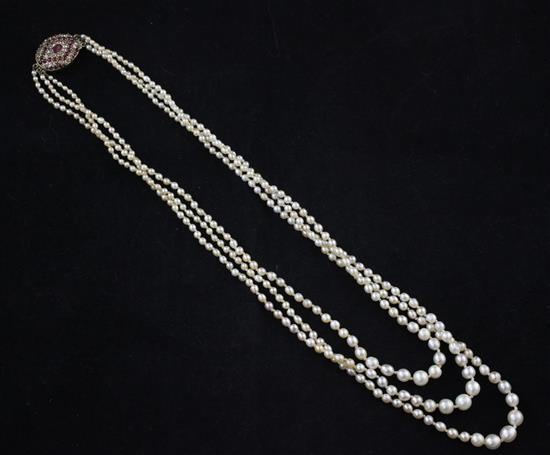 A late 19th/early 20th century triple strand graduated natural pearl necklace with gold, ruby and diamond set oval clasp, 22in.